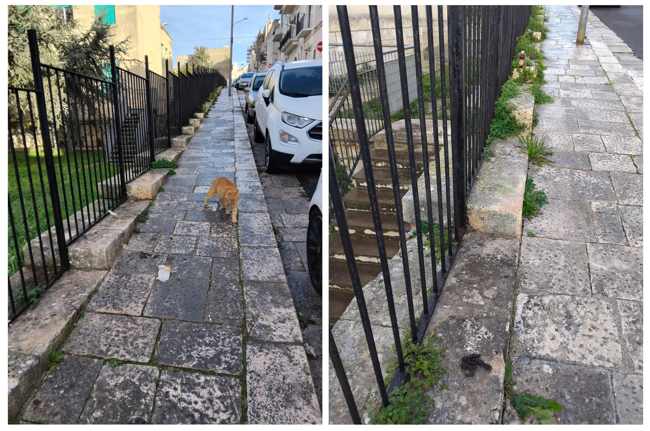 Marciapiedi sporchi in via Machiavelli per le deiezioni canine: amara sorpresa per gli scolari