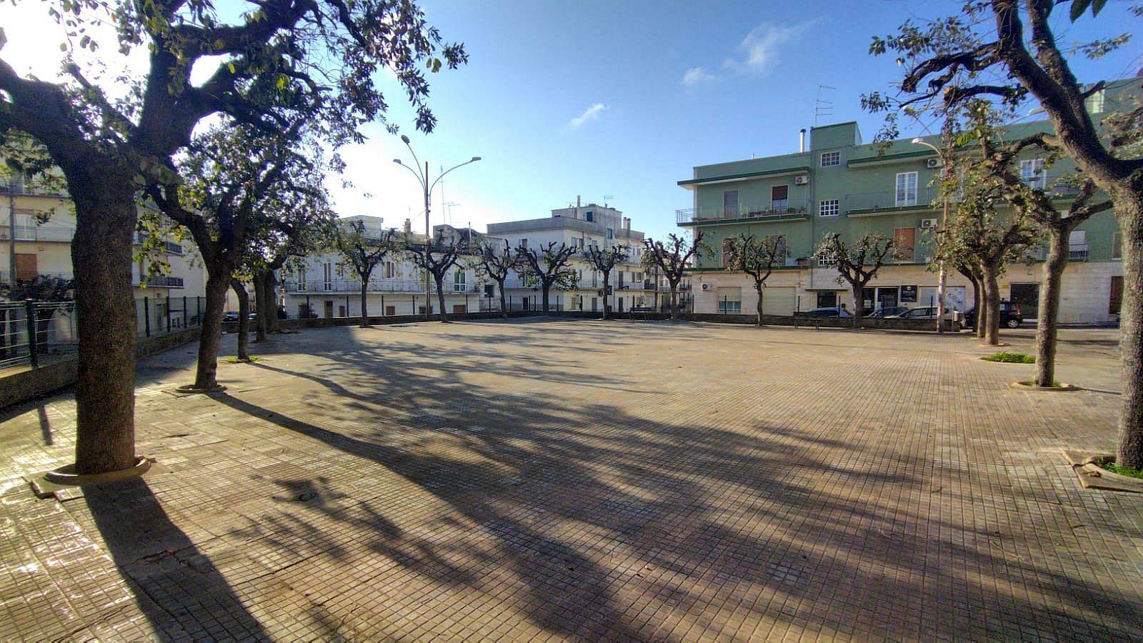 Interventi sul verde pubblico a Ceglie