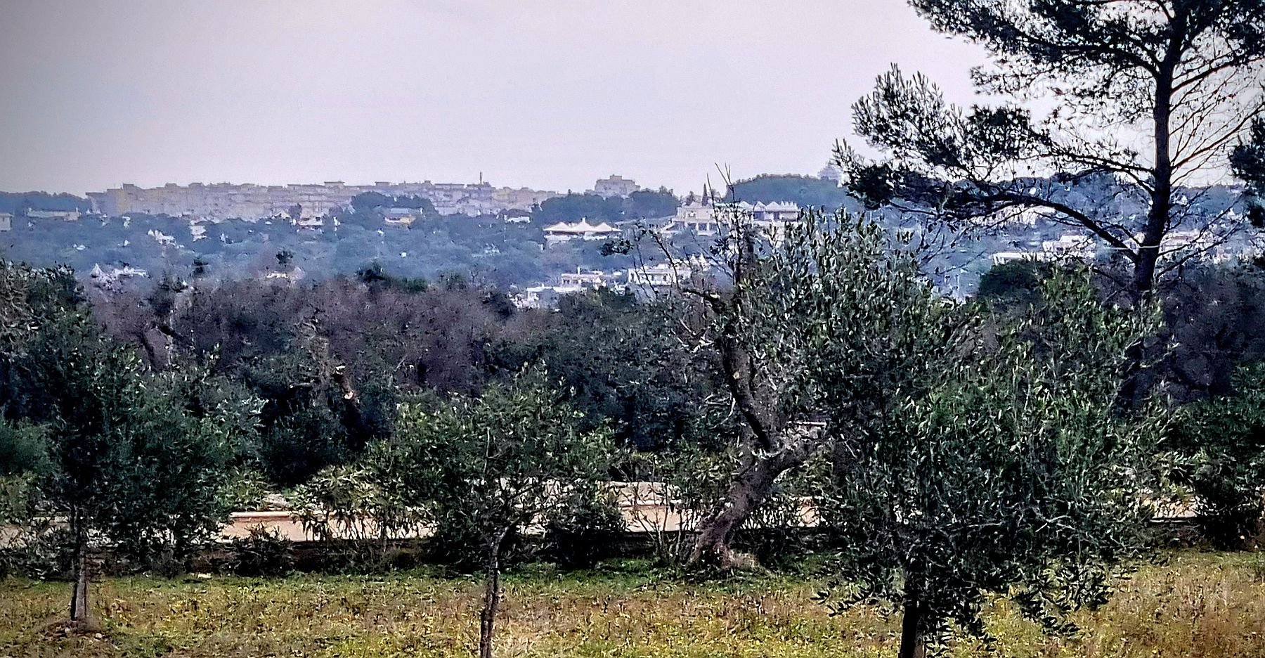 La collina di Montevicoli: forse un insediamento satellite dell'antica città di Ceglie