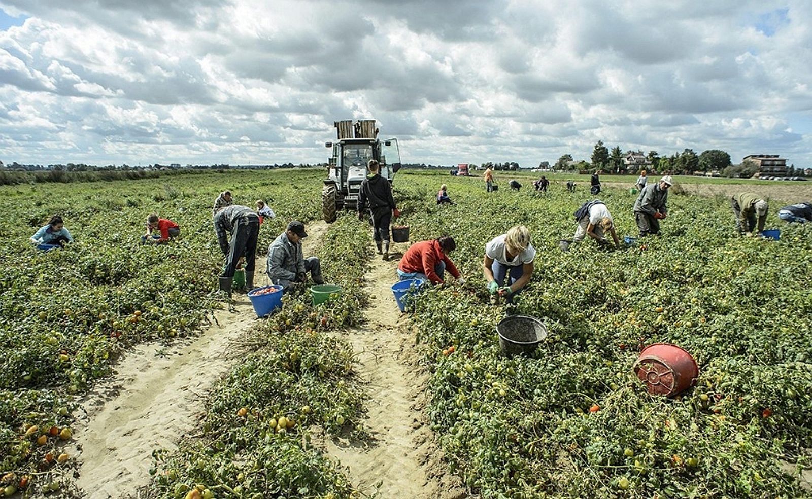 Caporalto, lavoratori impegnati nei campi agricoli. Nella chiesa di San Lorenzo una conferenza sul lavoro dignitoso